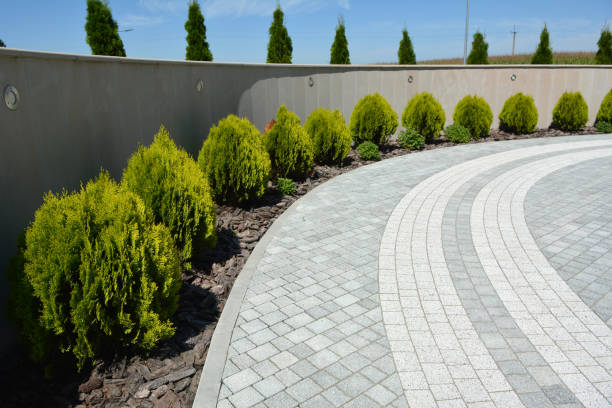 Best Brick Driveway Pavers  in Odessa, FL