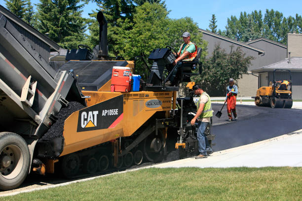 Best Local Driveway Pavers  in Odessa, FL